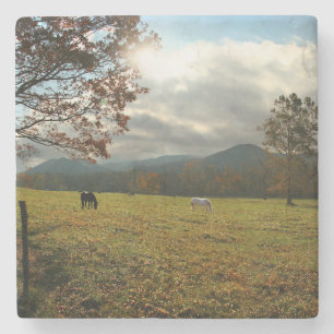 Porta-copo De Pedra EUA, Tennessee. Cavalos no Vale de Cades Cove