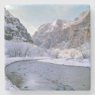 Porta-copo De Pedra EUA, Utah, Zion NP. Neve fresca cobre o canyon