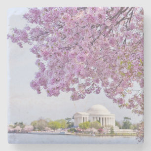 Porta-copo De Pedra EUA, Washington DC, árvore de cereja na flor