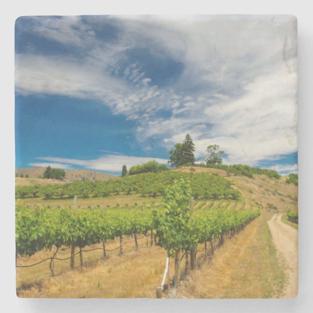 Porta-copo De Pedra EUA, Washington, Lago Chelan. Vinhedo 3 (Frente)