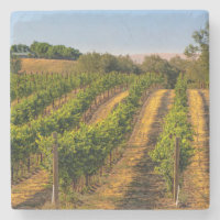 EUA, Washington Oriental, Vinhas Walla Walla