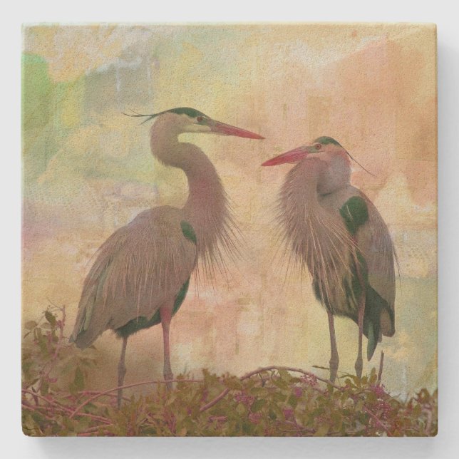 Porta-copo De Pedra Excelente Blue Heron Pair Digital Art Stone Porta  (Frente)