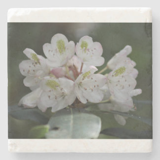 Porta-copo De Pedra Excelente Laurel