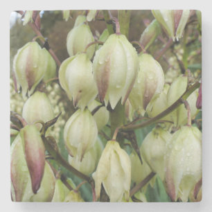 Porta-copo De Pedra Fábrica de Yucca