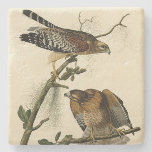 Porta-copo De Pedra Falcão de ombros vermelhos - Aves da América de Au