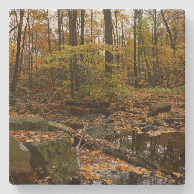 Porta-copo De Pedra Fall Creek com Reflexão no Laurel Hill Park (Frente)