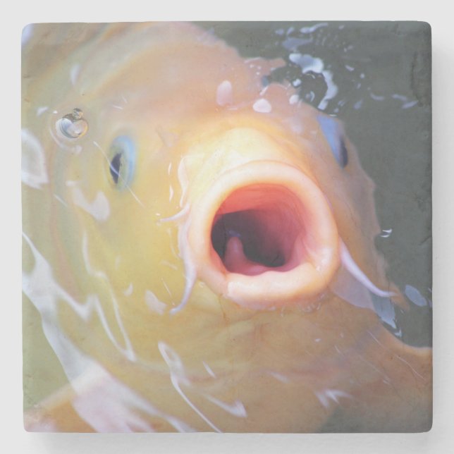 Porta-copo De Pedra Falln Singing Ghost Koi (Frente)