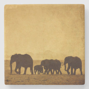 Porta-copo De Pedra Família do elefante