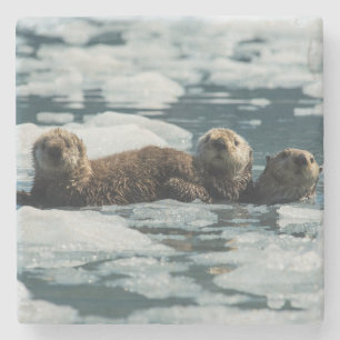 Porta-copo De Pedra Família Sea Otter