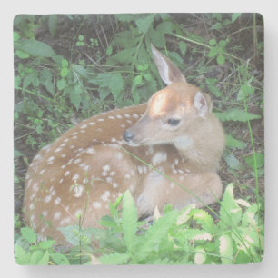 Porta-copo De Pedra Fawn Esperando Pela Mãe