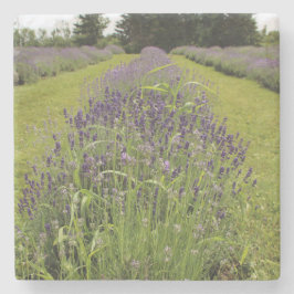 Porta-copo De Pedra Fazenda Seafoam Lavanda