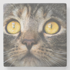 Porta-copo De Pedra Fechamento de Gato com Olhos Amarelos