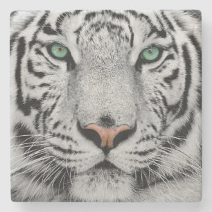 PORTA-COPO DE PEDRA FECHAMENTO DO ROSTO BRANCO DE TIGER