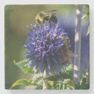 Porta-copo De Pedra Fechar uma abelha em uma flor púrpura/azul