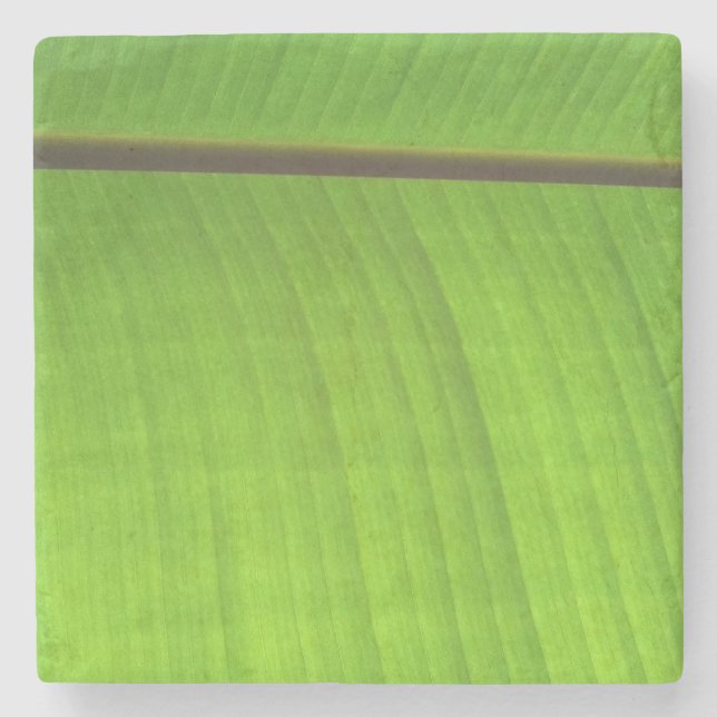 Porta-copo De Pedra Fecho de Banana Leaf (Frente)