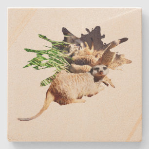Porta-copo De Pedra Feliz Meerkat Com Pups,