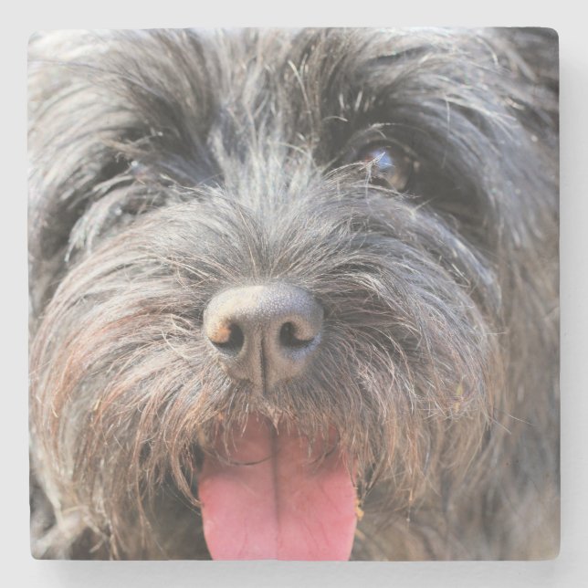 Porta-copo De Pedra Felpudo (Frente)