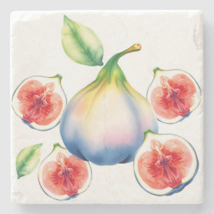 Porta-copo De Pedra Fig de Cores de Água Frescas com Branco Suave