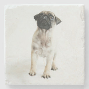 Porta-copo De Pedra Filhote de cachorro bonito do Pug
