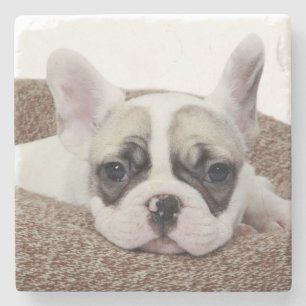 Porta-copo De Pedra Filhote de cachorro do buldogue francês que