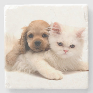 Porta-copo De Pedra Filhote e gatinho
