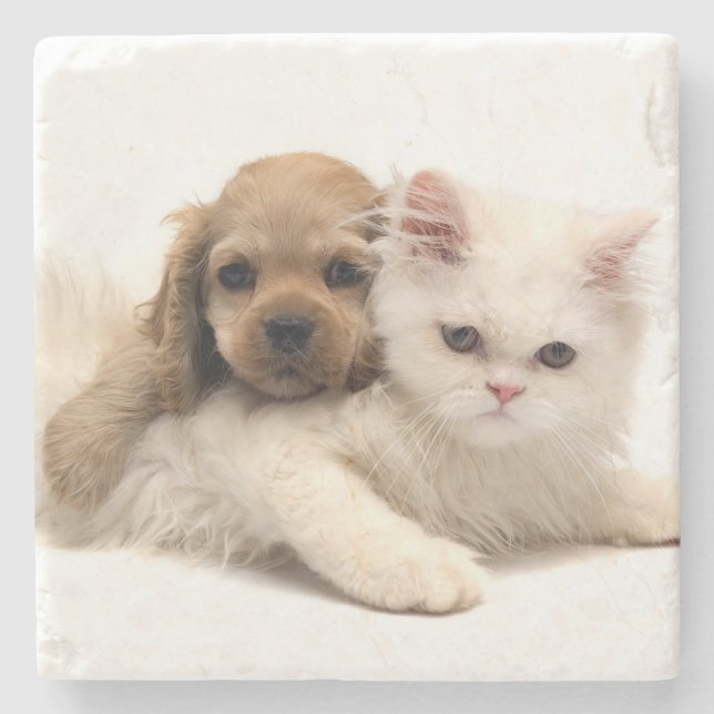 Porta-copo De Pedra Filhote e gatinho (Frente)