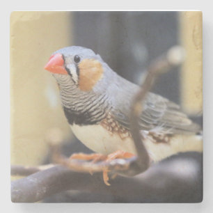 Porta-copo De Pedra Finch