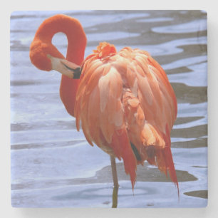 Porta-copo De Pedra Flamingo em uma perna na água