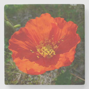 Porta-copo De Pedra Flor Colorido Vermelho do Alasca