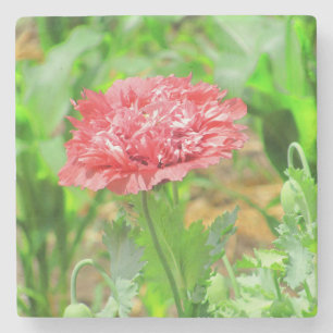 Porta-copo De Pedra Flor cor-de-rosa no sangue