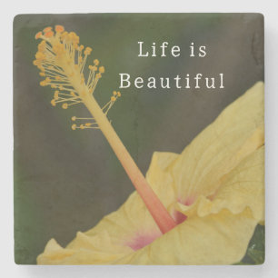 Porta-copo De Pedra Flor de Hibisco Amarelo de Kauai (foto tirada por 