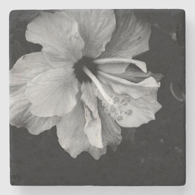 Porta-copo De Pedra Flor de hibiscus (Frente)