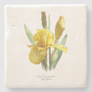 Porta-copo De Pedra Flor de Íris Amarela