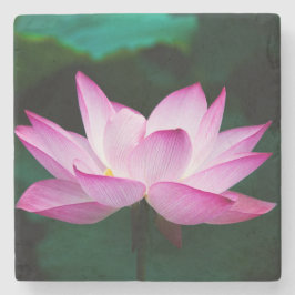 Porta-copo De Pedra Flor de Lotus Rosa