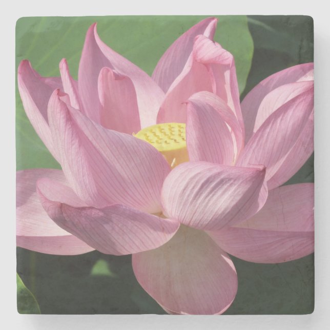 Porta-copo De Pedra Flor de Lotus Rosa IV (Frente)