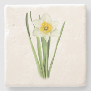 Porta-copo De Pedra Flor de Narciso