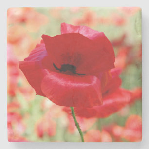 Porta-copo De Pedra Flor de Papoula Vermelha Vintage