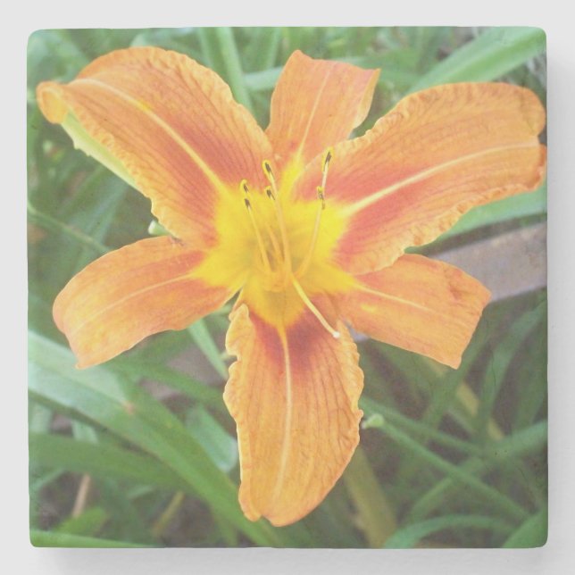 Porta-copo De Pedra Flor Laranja (Frente)