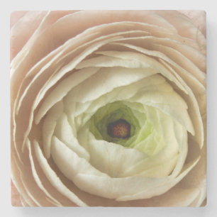 Porta-copo De Pedra Flor Ranunculus