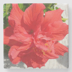 Porta-copo De Pedra Flor Red Double Hibiscus