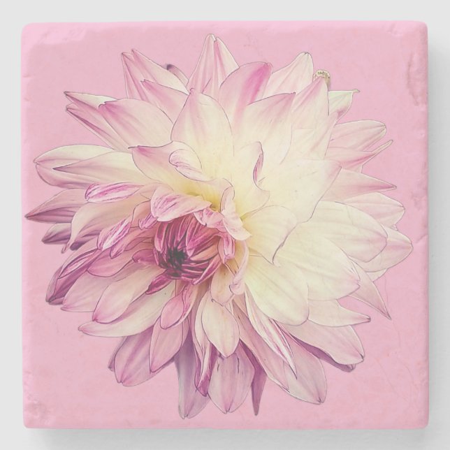 Porta-copo De Pedra Flor rosa e creme (Frente)