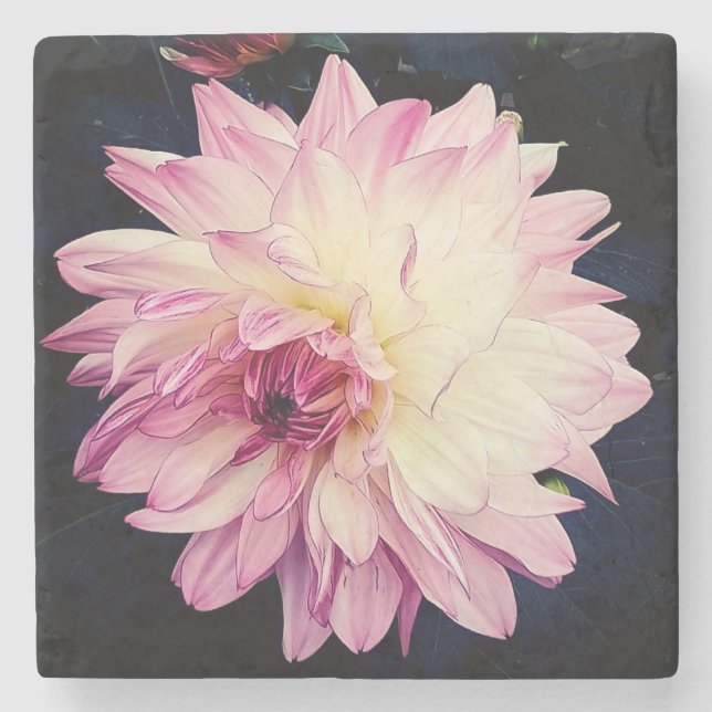 Porta-copo De Pedra Flor rosa e creme (Frente)