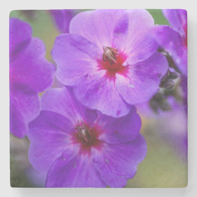 Porta-copo De Pedra Flor roxa (Frente)
