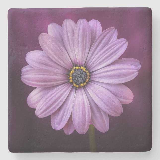 Porta-copo De Pedra Flor Roxo no Bloom (Frente)