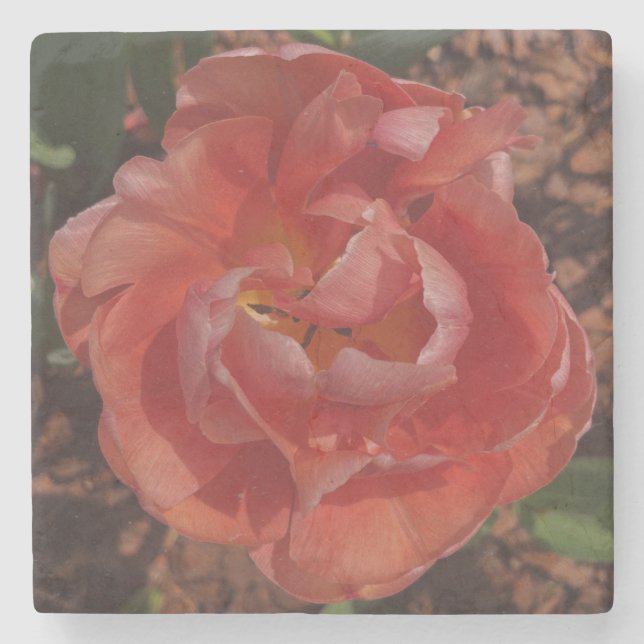 Porta-copo De Pedra flor vermelha (Frente)