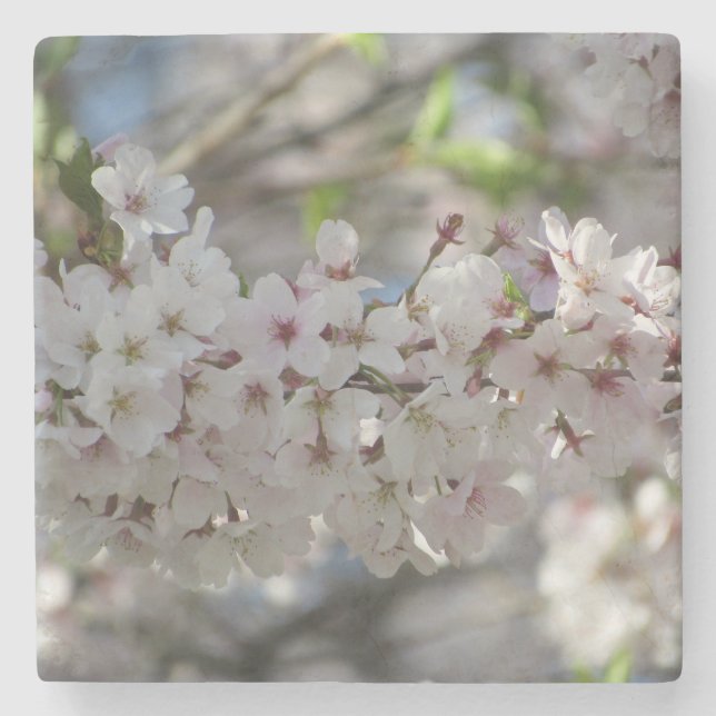 Porta-copo De Pedra Floral (Frente)