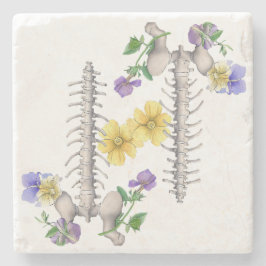 Porta-copo De Pedra Floral Anatomy - Vertebrae, Hip Bone