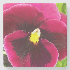 Porta-copo De Pedra Floral bonito Purple Pansy