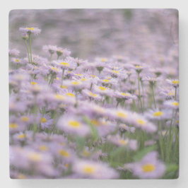 Porta-copo De Pedra Flores de Aster Roxo