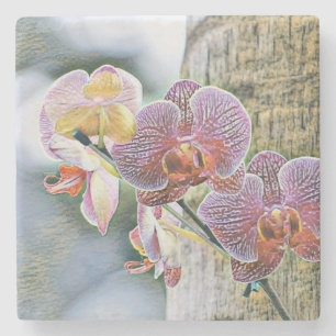 Porta-copo De Pedra Flores de Orquídea Rosa Púrpura Vintage no log